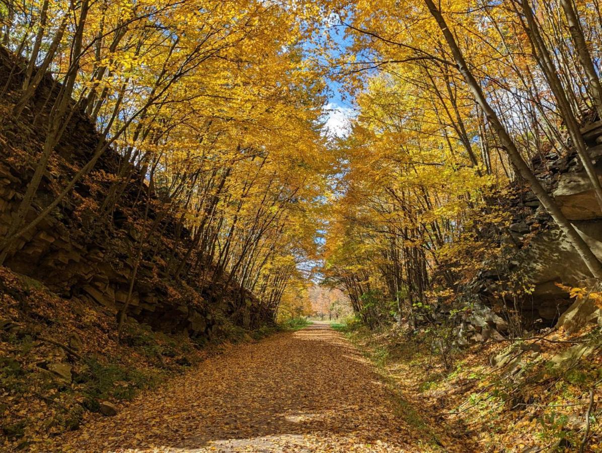 Stay In Ohiopyle In The Middle Of Town By The Gap Trail Eksteriør billede